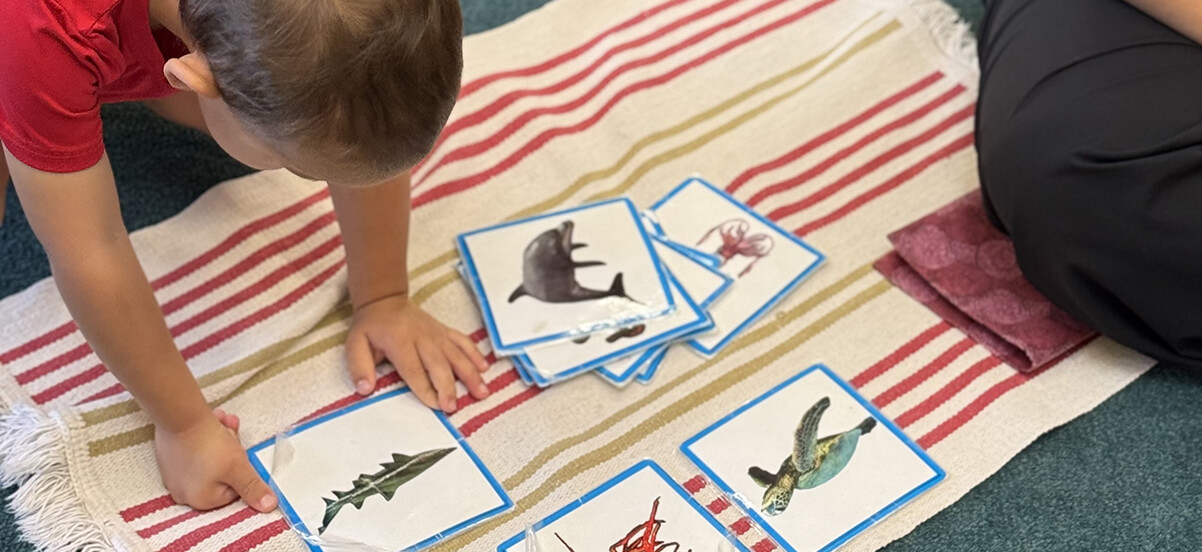 A Scripps Montessori child matching classified cards on a work rug